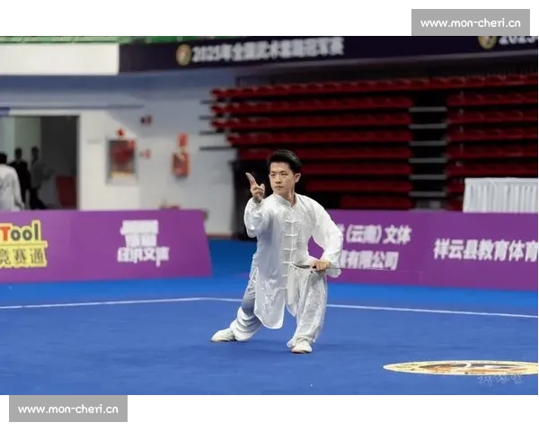 武当山国际武术学院:传承中华武术精髓 打造世界顶级武术人才摇篮